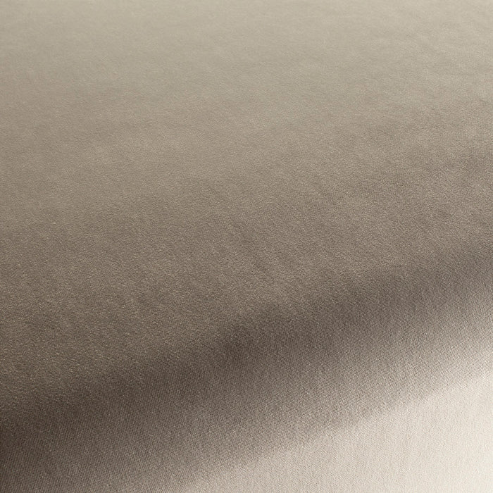 Carlucci City Velvet 190 Fabric Sample CA7832/190