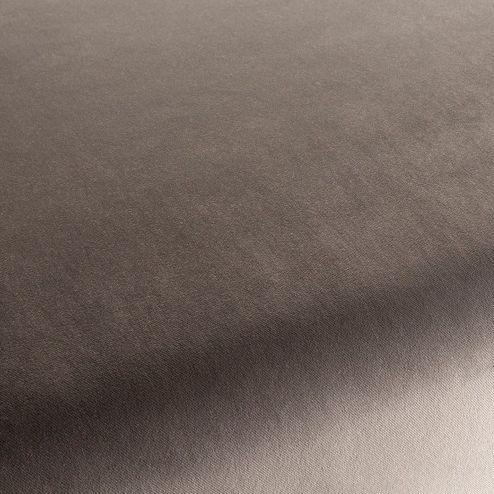Carlucci City Velvet 191 Fabric Sample CA7832/191