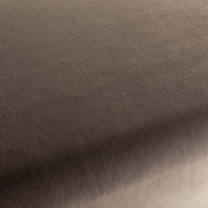 Carlucci City Velvet 194 Fabric CA7832/194