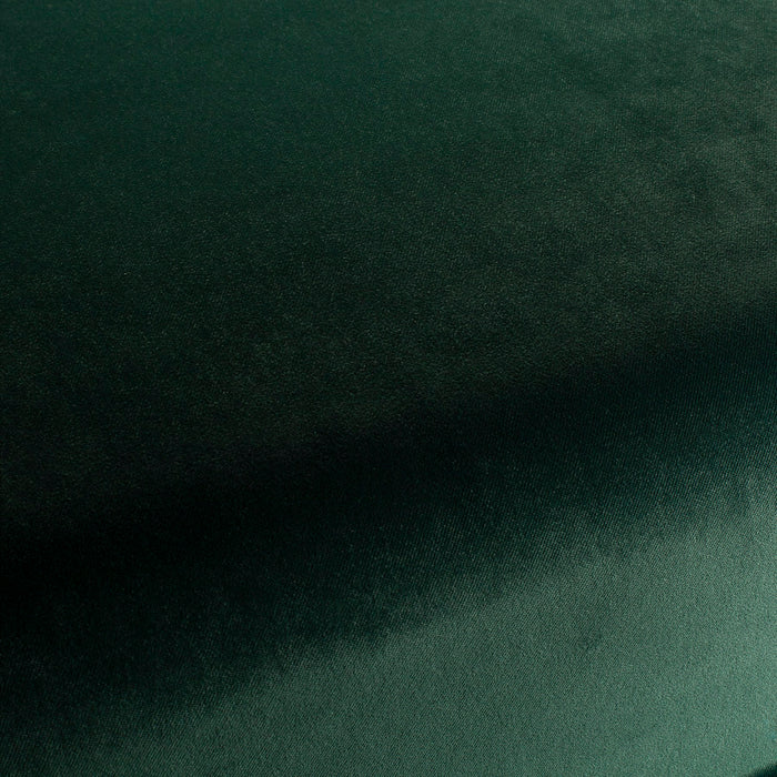 Carlucci City Velvet 231 Fabric Sample CA7832/231