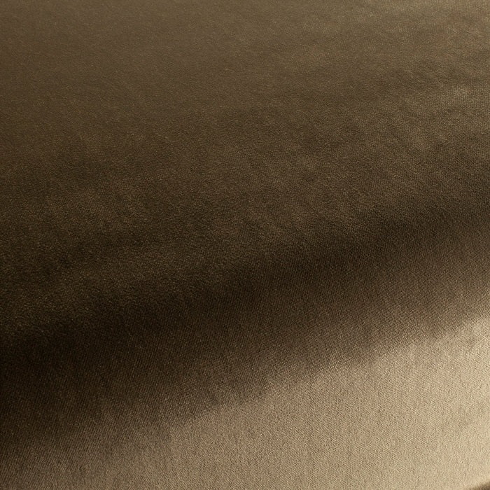 Carlucci City Velvet 232 Fabric CA7832/232