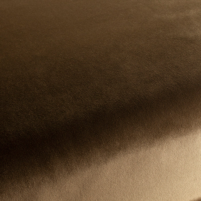 Carlucci City Velvet 233 Fabric Sample CA7832/233