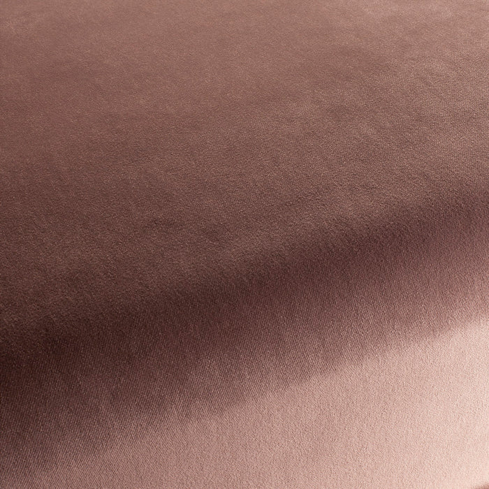 Carlucci City Velvet 260 Fabric CA7832/260