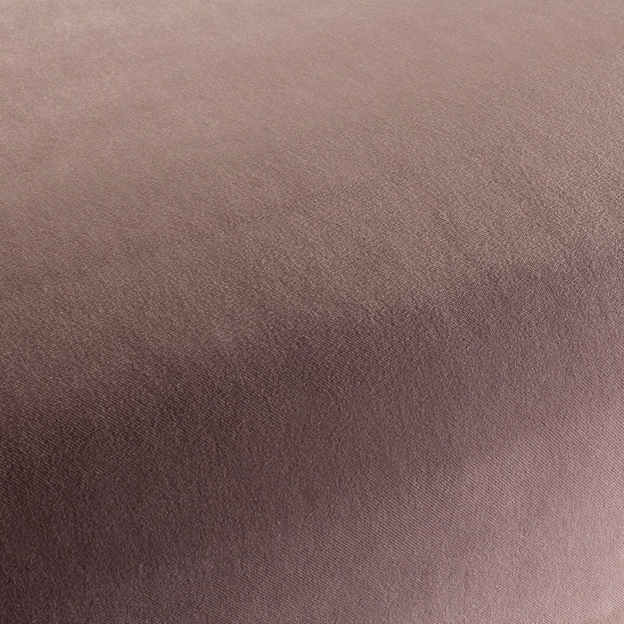 Carlucci City Velvet 261 Fabric Sample CA7832/261