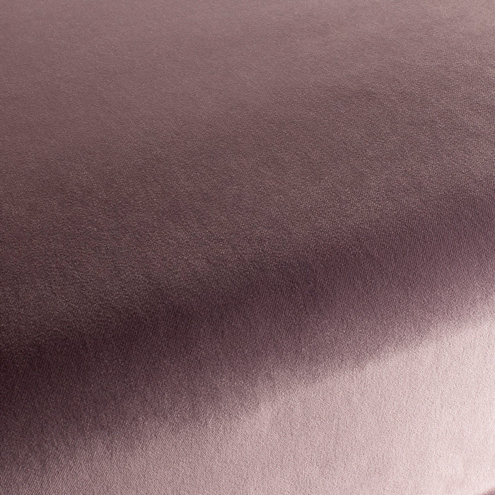 Carlucci City Velvet 262 Fabric CA7832/262