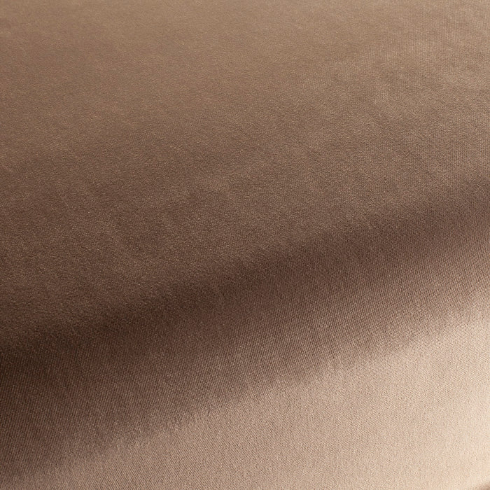 Carlucci City Velvet 271 Fabric Sample CA7832/271