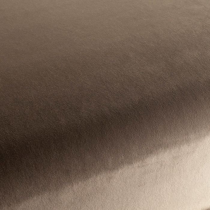 Carlucci City Velvet 272 Fabric CA7832/272
