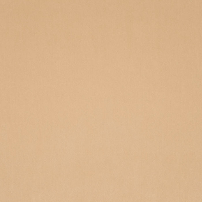 Carlucci City Velvet 273 Fabric Sample CA7832/273