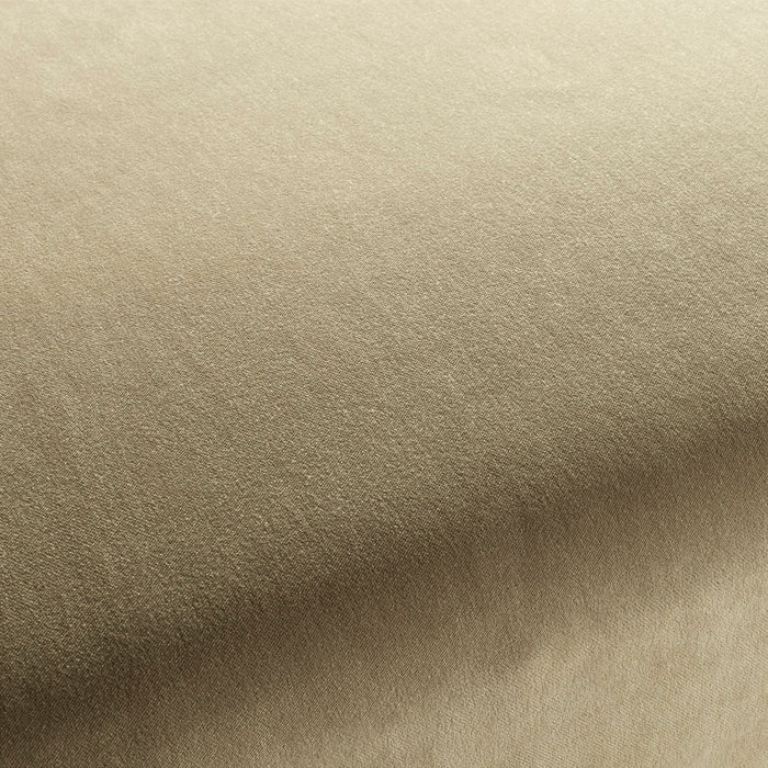 Carlucci City Velvet 336 Fabric Sample CA7832/336
