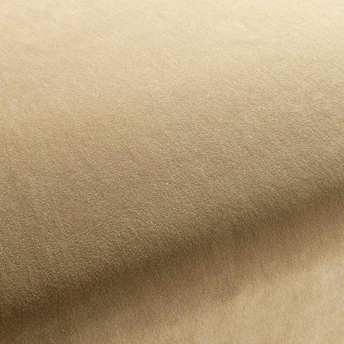 Carlucci City Velvet 337 Fabric CA7832/337