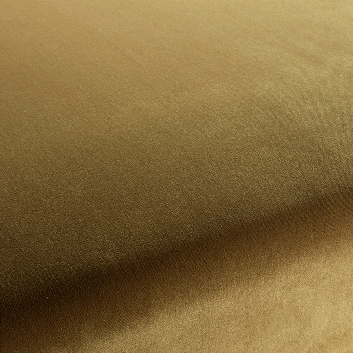 Carlucci City Velvet 338 Fabric Sample CA7832/338