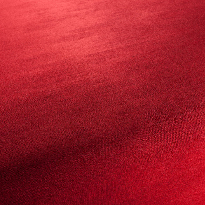 Carlucci New York Velvet 010 Fabric CA7988/010