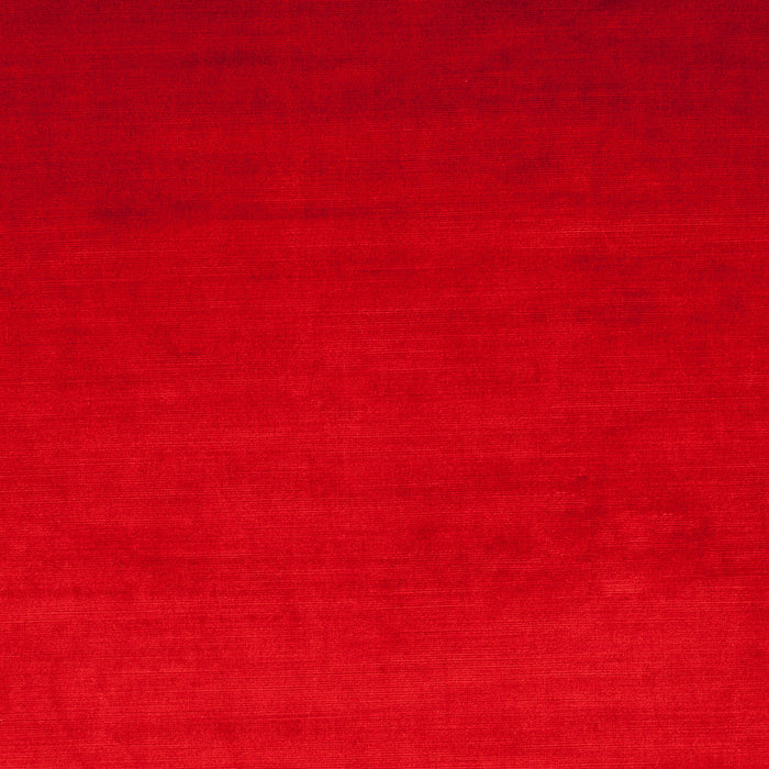 Carlucci New York Velvet 011 Fabric CA7988/011