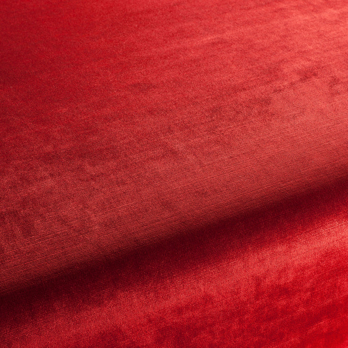 Carlucci New York Velvet 011 Fabric CA7988/011