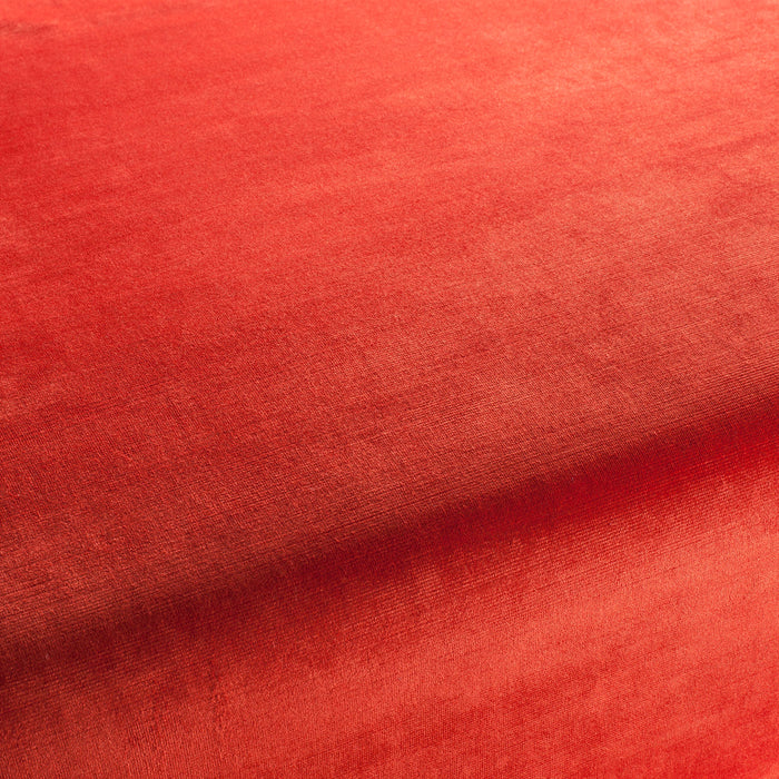 Carlucci New York Velvet 012 Fabric CA7988/012
