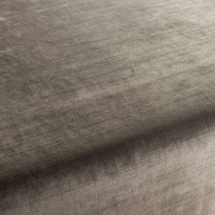Carlucci New York Velvet 020 Fabric Sample CA7988/020
