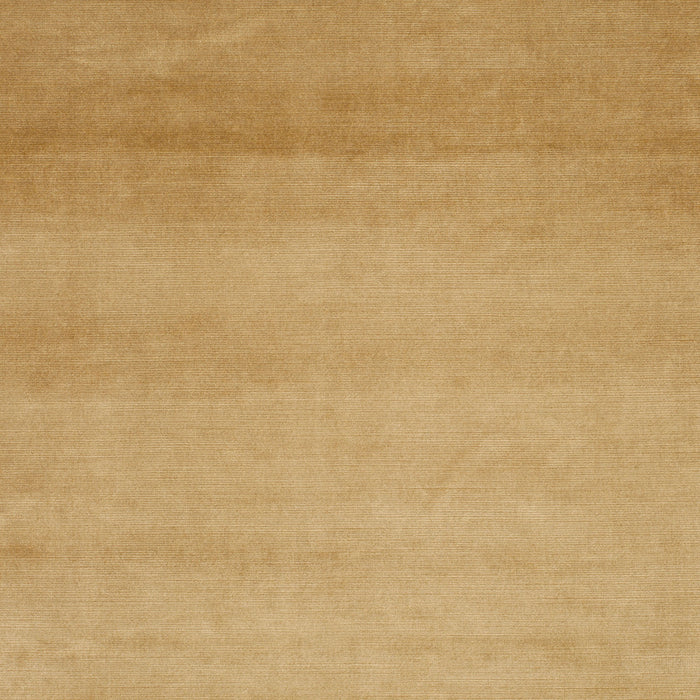 Carlucci New York Velvet 022 Fabric CA7988/022