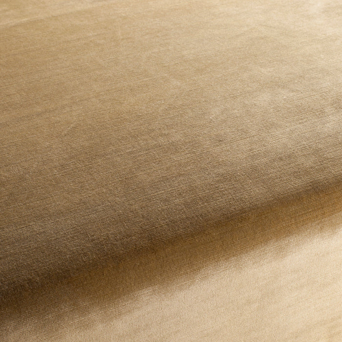 Carlucci New York Velvet 022 Fabric CA7988/022