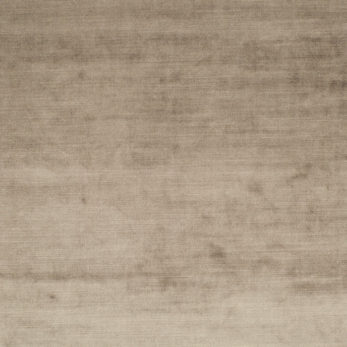 Carlucci New York Velvet 026 Fabric Sample CA7988/026