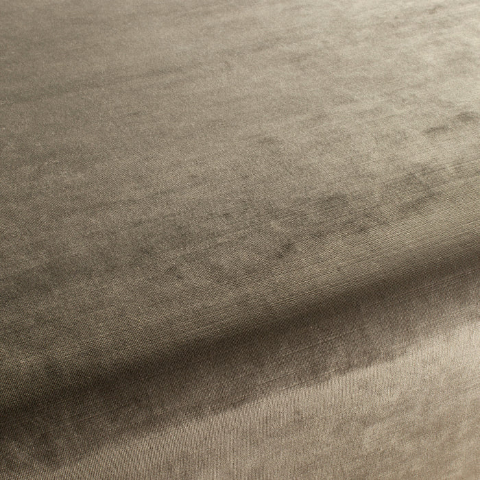 Carlucci New York Velvet 026 Fabric Sample CA7988/026