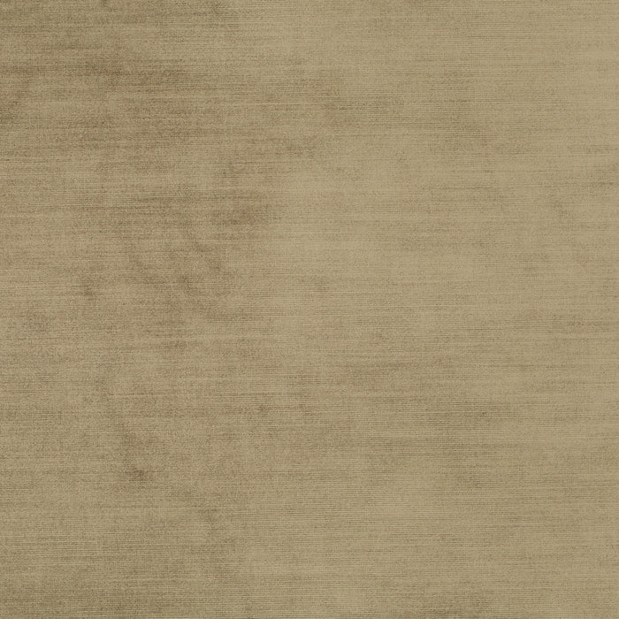 Carlucci New York Velvet 028 Fabric Sample CA7988/028