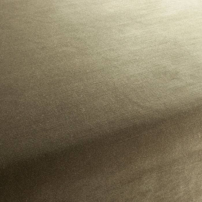 Carlucci New York Velvet 028 Fabric CA7988/028