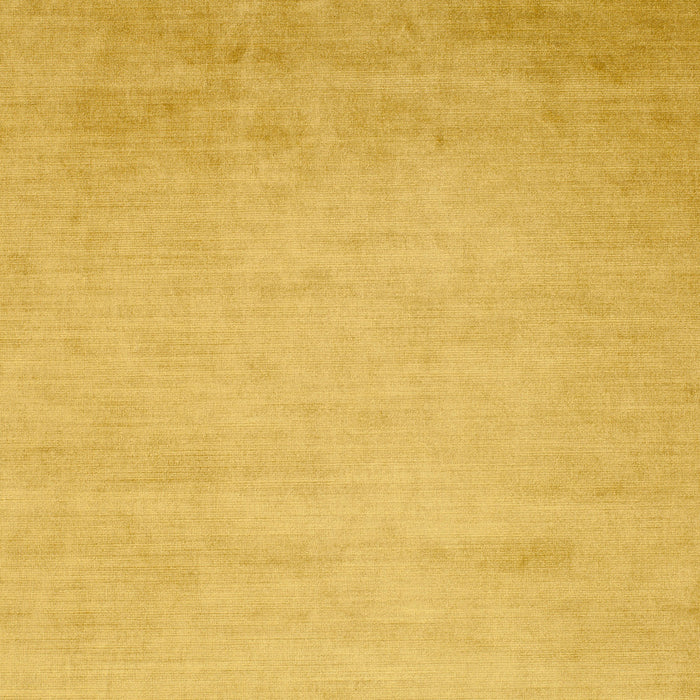 Carlucci New York Velvet 032 Fabric CA7988/032