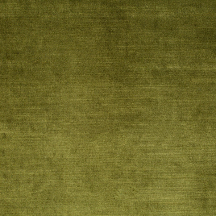 Carlucci New York Velvet 034 Fabric Sample CA7988/034