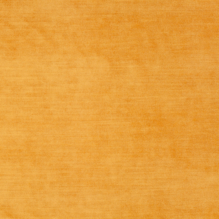 Carlucci New York Velvet 040 Fabric Sample CA7988/040