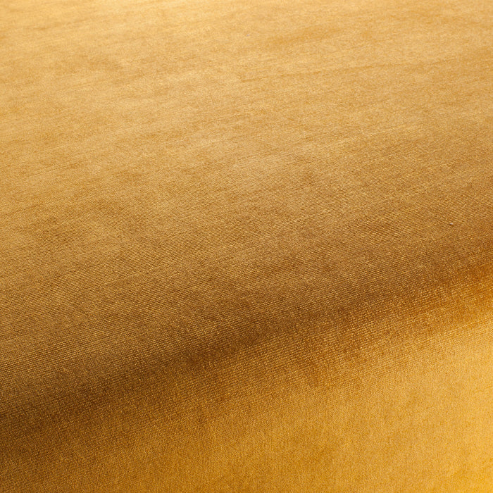 Carlucci New York Velvet 040 Fabric Sample CA7988/040