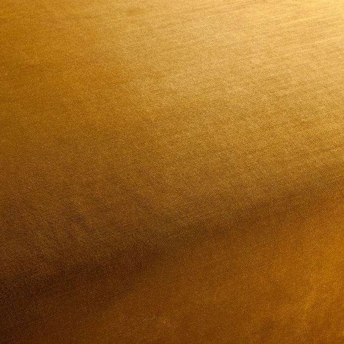 Carlucci New York Velvet 041 Fabric CA7988/041