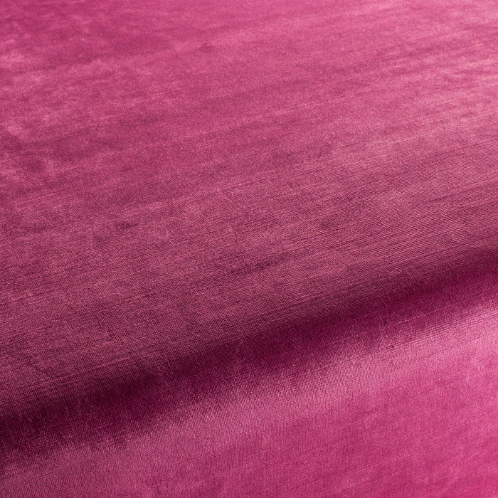 Carlucci New York Velvet 060 Fabric CA7988/060
