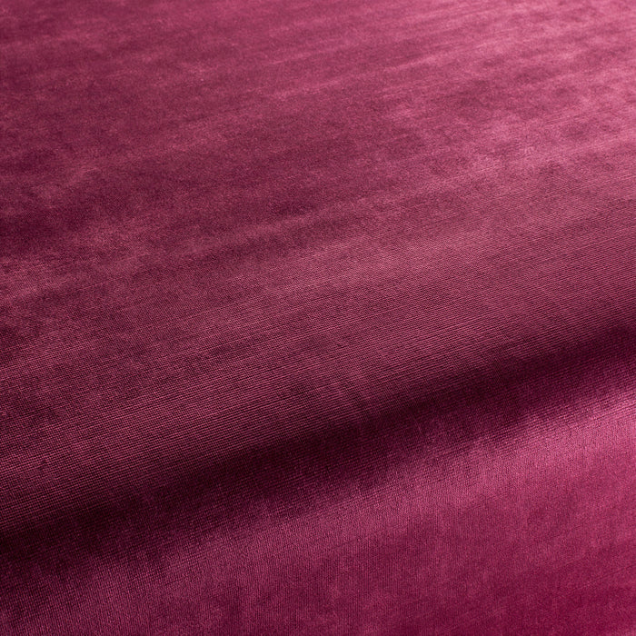 Carlucci New York Velvet 061 Fabric Sample CA7988/061