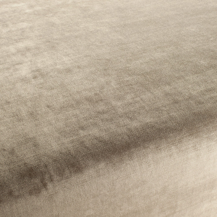 Carlucci New York Velvet 071 Fabric Sample CA7988/071