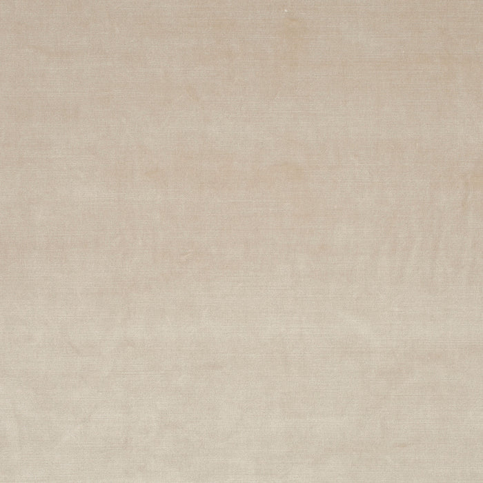 Carlucci New York Velvet 072 Fabric Sample CA7988/072