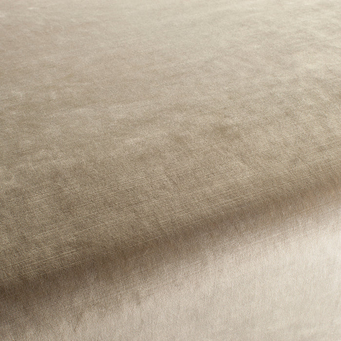 Carlucci New York Velvet 072 Fabric Sample CA7988/072