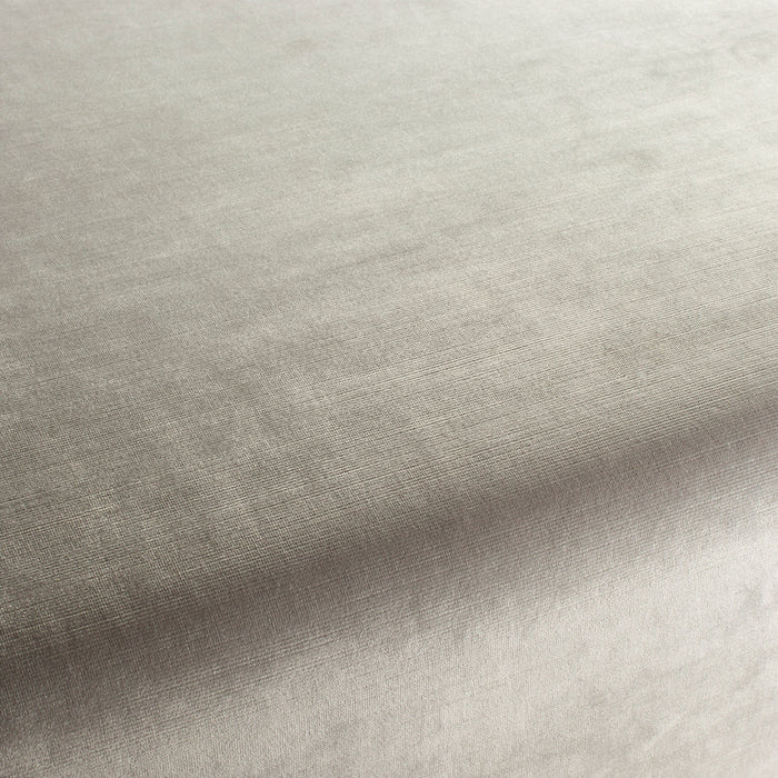 Carlucci New York Velvet 073 Fabric Sample CA7988/073