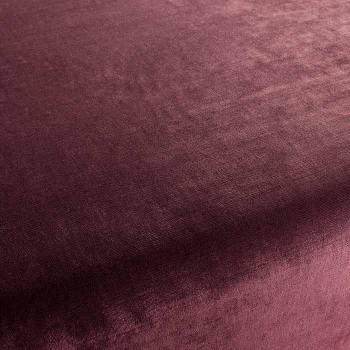 Carlucci New York Velvet 081 Fabric Sample CA7988/081