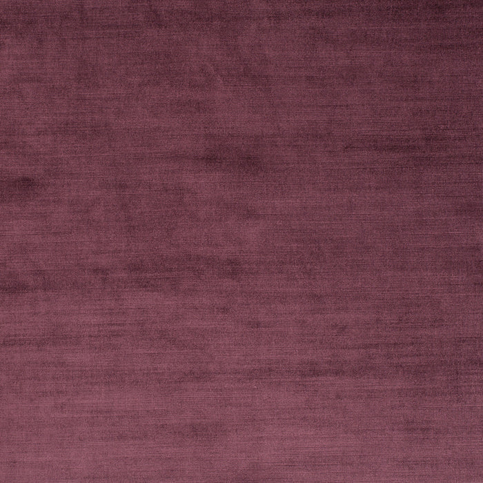 Carlucci New York Velvet 082 Fabric Sample CA7988/082