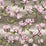 Carlucci Eternal Beauty 020 Wallpaper CA8271/020