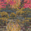 Carlucci Garden Of Dreams 060 Wallpaper CA8277/060