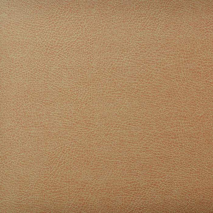 Kravet Design CASWELL.6.0 Caswell-6 Fabric Sample