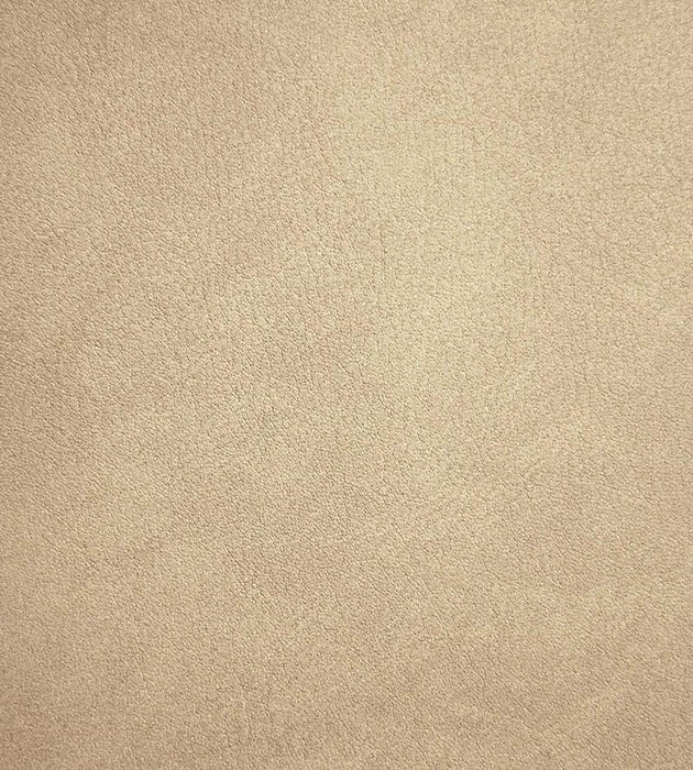Old World Weavers Palma Mastic Fabric Sample CA51300073