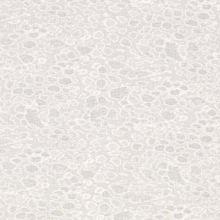 Charlotte  Fabric Sample CB700-586