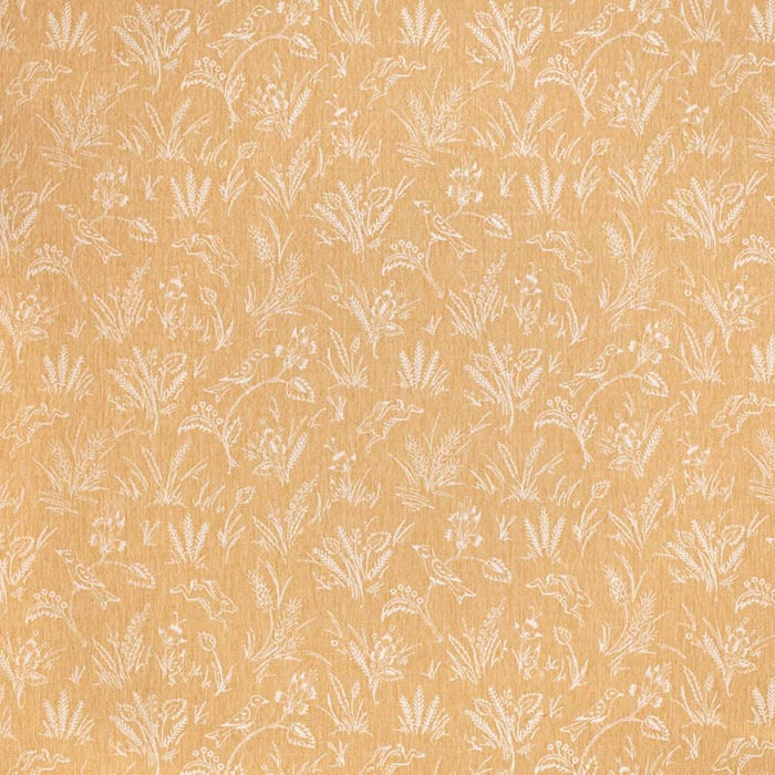 Charlotte  Fabric Sample CB800-451
