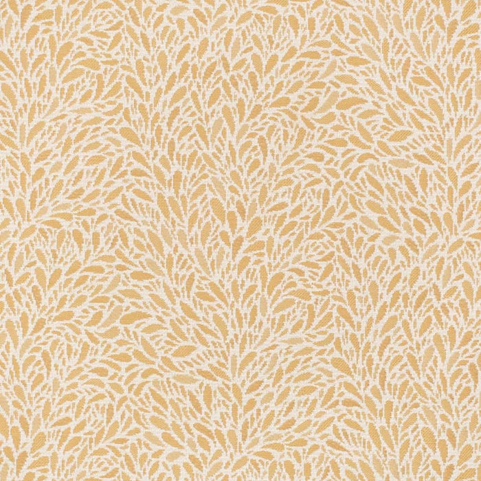 Charlotte  Fabric Sample CB800-452