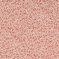 Charlotte CB800-504 Fabric