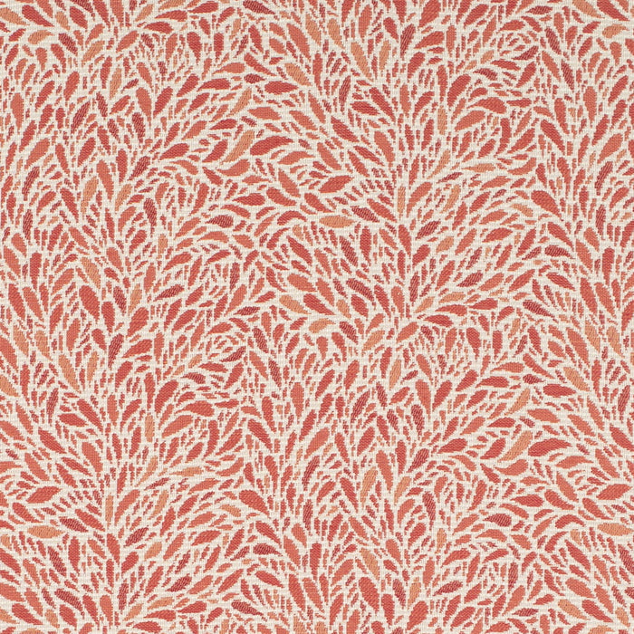 Charlotte CB800-504 Fabric