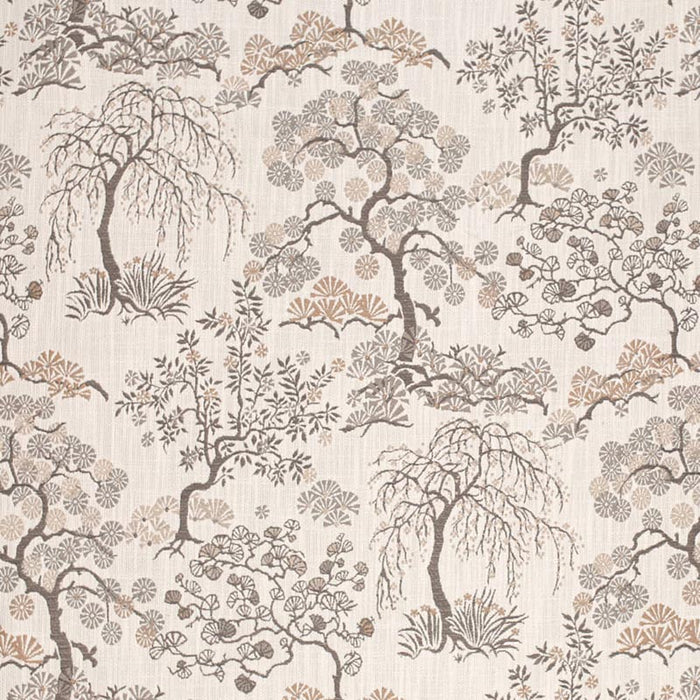 Charlotte  Fabric Sample CB900-171