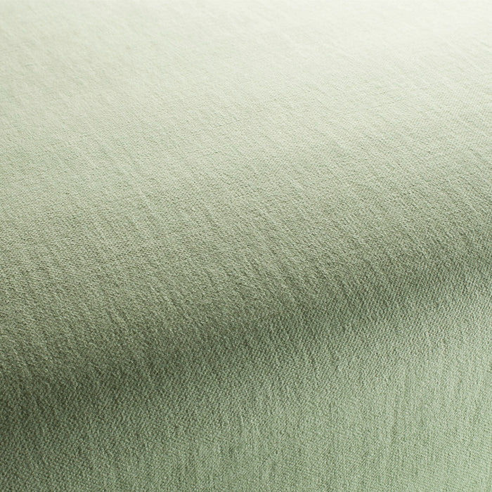 Chivasso Hot Madison Reboot 089 Fabric CH1249/089